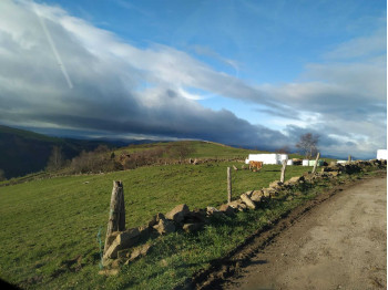 finca